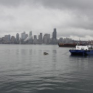 Boat Cruise Seattle